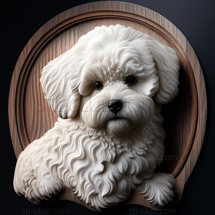 3D model st Bichon frise dog (STL)